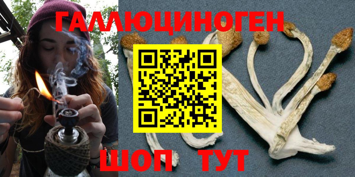 Псилоцибиновые грибы Cubensis Братск