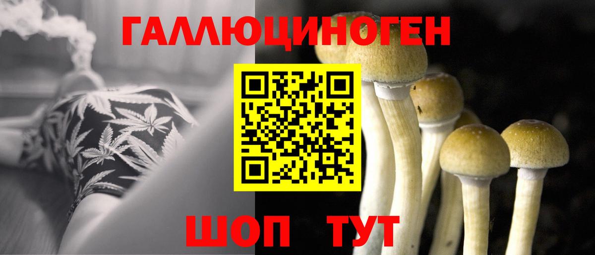 Галлюциногенные грибы Psilocybine cubensis  Вход с VPN  Братск 